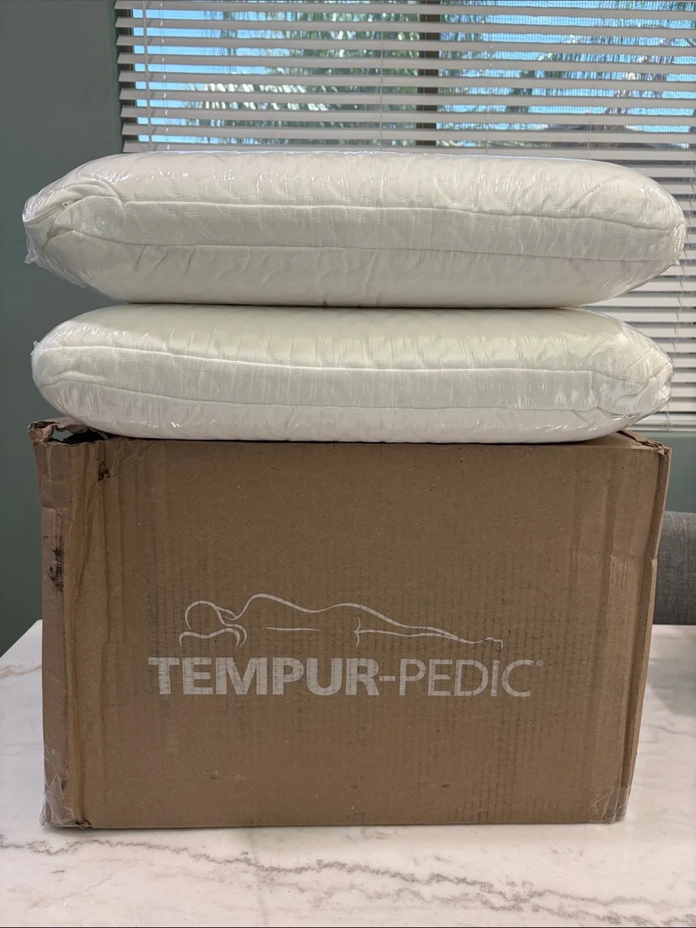Tempur-Pedic Cloud Pillows 2 Pack